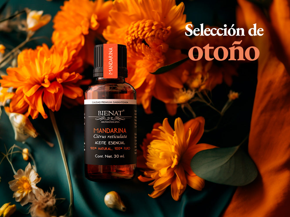 Kit Favoritos de 5 Aceites Esenciales Original Nature's Oils – Bienat  Aromaterapia México